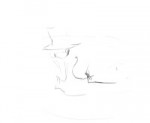 .webm