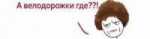 велодорошки.jpg