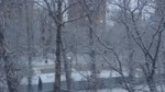 14780326018210.webm