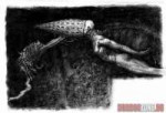 what-happened-to-shaw9.jpg