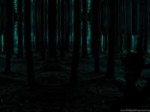 90338dark-forest-hd-wallpapers-widescreen-resolution1920x10[...].png