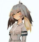15584371211190.png
