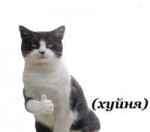 хуйня.jpg