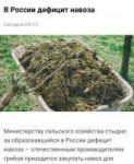 D42YkmoWsAUMH-n.jpg