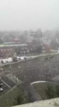 IMG7897.mp4