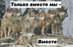 IMG20191022035928746.jpg