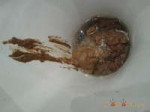 1908404901423658381.jpg