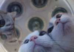 EITiCjeWsAEGgtH.jpg