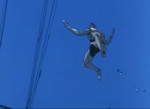 15464442302860.webm