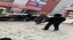 15509470225151.mp4