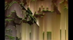war webm.mp4