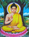 budda-lotus.jpg