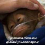 15436176760530.jpg