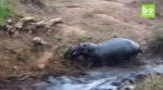 15304627192890.webm