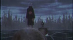 15562051164450.webm