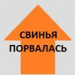 15471972336143.jpg