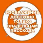 15571272506190.jpg