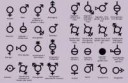 Anyway+else+think+the+real+gender+table+is+legitimately+pre[...].jpg