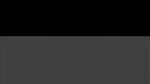 Dogswbm.webm
