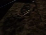 bikehome.webm
