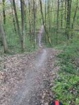 IMG0432.JPG