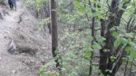 20190512182902-25.jpg