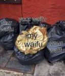 5246396.jpeg