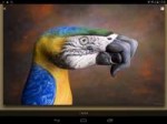 Screenshot2018-03-11-16-42-40.png
