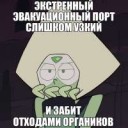 15566