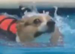 Oh shi.png
