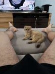 2018-08-20 2.06.16 AM.jpg