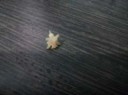IMG20170320205351.jpg