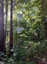 IMG20170915202033