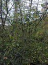 IMG20171022170441