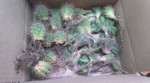 IMG201902222155512.jpg