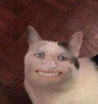 387256487321641832.jpg