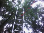 IMG10229.jpg