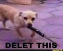 1517121713540804879564516145690290938480024n.jpg