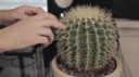15012549630420.webm