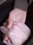 IMG432655454534.jpg