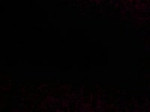 VID20181203000816.mp4