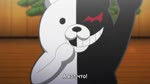 2027828.webm