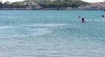 VID-20190817-WA0009.mp4