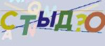 show.png