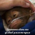 15084299904670.jpg