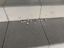 IMG20170827080408