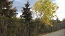 WP20171024130753Pro