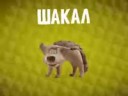 Шакал.webm
