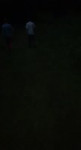 15588619105951.mp4