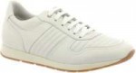 rocky4stripes.jpg